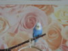 DSCN9578.JPG