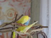DSCN9583.JPG