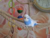 DSCN9587.JPG