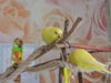 DSCN9589.JPG