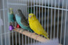 Home_158032_29-06-2020_01.JPG