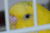 Home_158106_29-06-2020.jpg