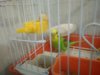 Новый член семьи (4).jpg