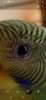 Screenshot_20200716-100312_Gallery.jpg