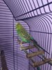 IMG_20200717_122357.jpg