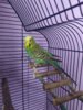IMG_20200717_122355.jpg
