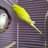IMG_20200716_151533.jpg