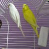 IMG_20200716_151317.jpg
