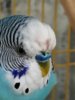 IMG_20200717_174350.jpg