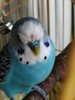 IMG_20200717_174258.jpg