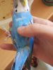 IMG_20200719_160555.jpg