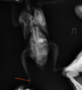 2020-07-21_19-02-33.png