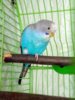 IMG_20200722_163652_3~2.jpg