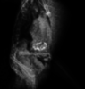 2020-08-04_19-50-35.png
