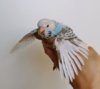 IMG_20200805_201025.jpg