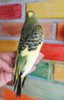 IMG_20200805_201634.jpg