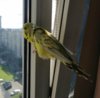 IMG_20200805_200510.jpg