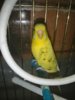IMG_20200815_120039.jpg
