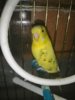 IMG_20200815_120040.jpg
