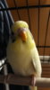 20200815_214455.jpg