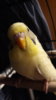 20200815_214531.jpg