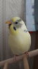 20200815_122751.jpg