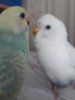 20200803_143342.jpg