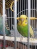 20200816_092619.jpg