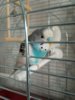 IMG_20200815_140412.jpg