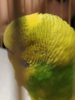 IMG_20200820_204052.jpg