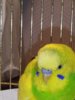 IMG_20200820_204107.jpg