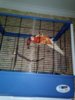 изображение_viber_2020-06-23_09-57-26.jpg