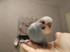 1598205528952.JPEG