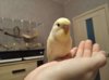 1598205529904.JPEG