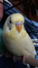 20200824_175308.jpg