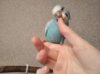 1598626304845.JPEG