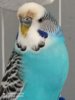 IMG_20200830_135407.jpg