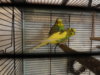 DSC04660.JPG