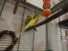 DSC04662.JPG