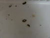 DSC04668.JPG