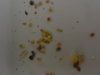 DSC04669.JPG