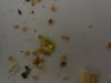 DSC04670.JPG