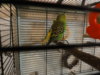 DSC04673.JPG