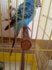 20160228_135412.jpg
