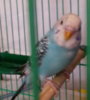 kXu1jN803UY_s.jpg
