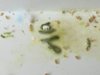 image2.jpeg