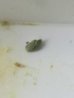 image6.jpeg