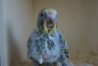 DSC02515.JPG