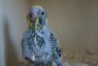 DSC02517.JPG