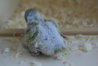 DSC02545.JPG